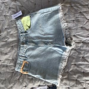Sarah Cameron PacSun shorts